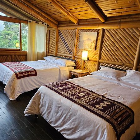 Golden Tree Mindo Eco-Lodge Zewnętrze zdjęcie