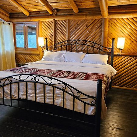 Golden Tree Mindo Eco-Lodge Zewnętrze zdjęcie