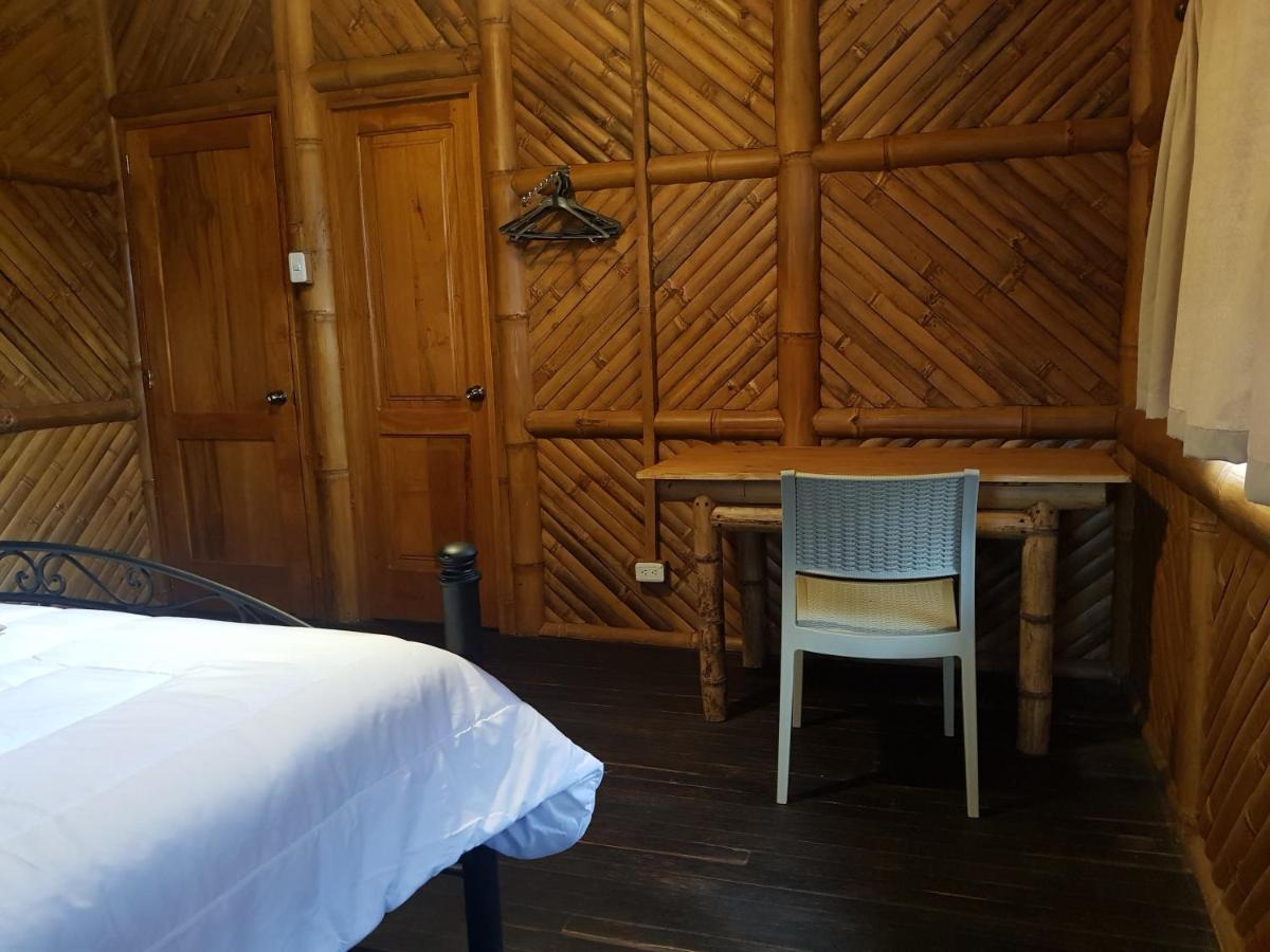 Golden Tree Mindo Eco-Lodge Zewnętrze zdjęcie