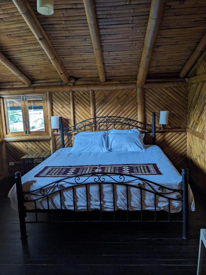 Golden Tree Mindo Eco-Lodge Zewnętrze zdjęcie