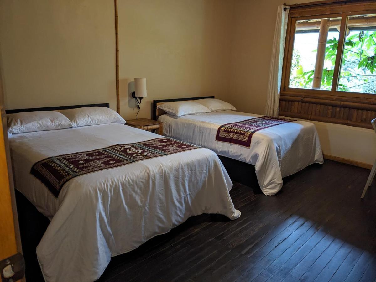 Golden Tree Mindo Eco-Lodge Zewnętrze zdjęcie