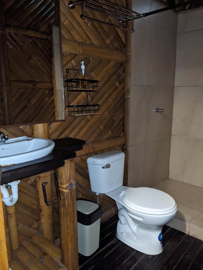 Golden Tree Mindo Eco-Lodge Zewnętrze zdjęcie