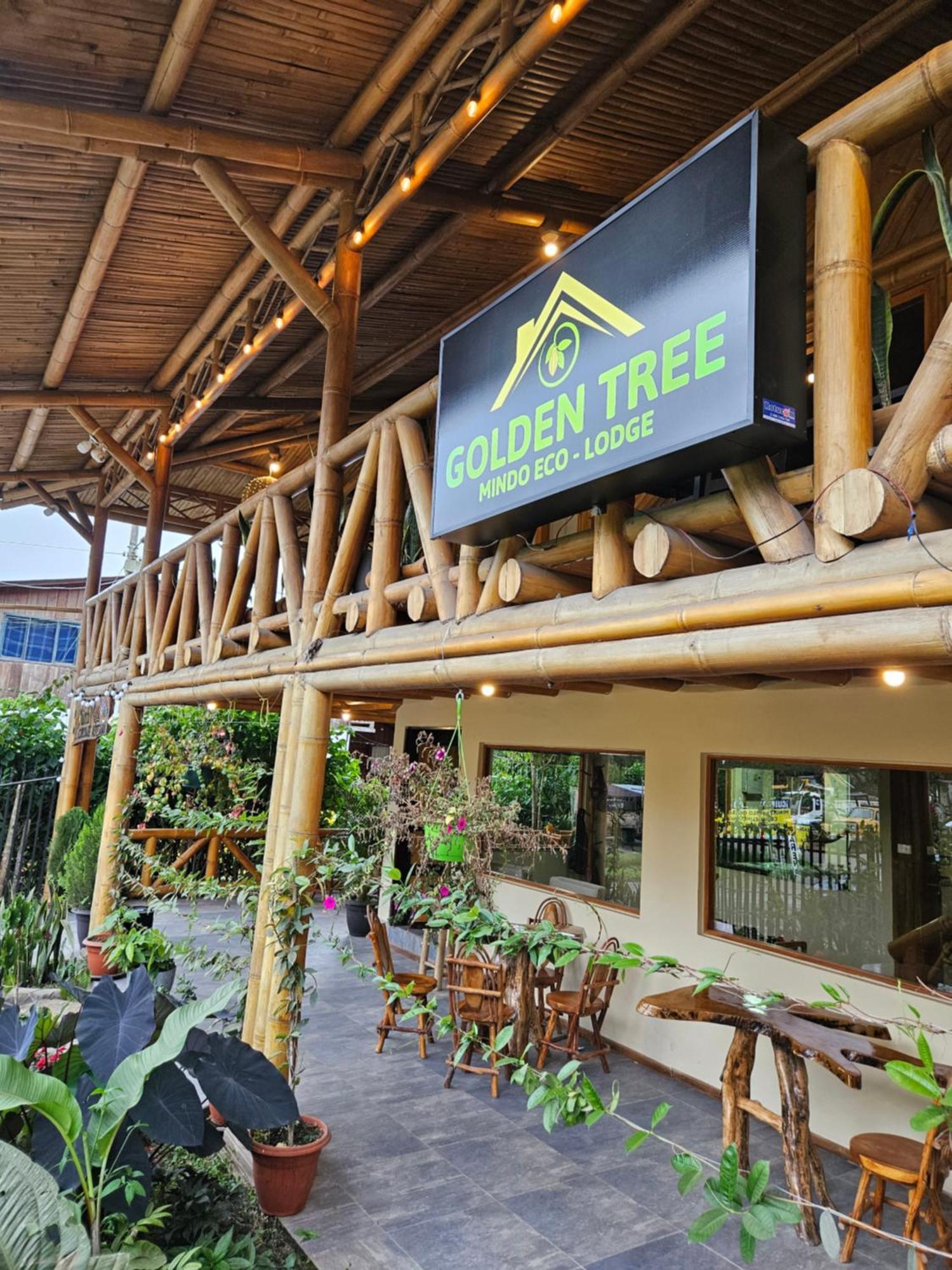 Golden Tree Mindo Eco-Lodge Zewnętrze zdjęcie