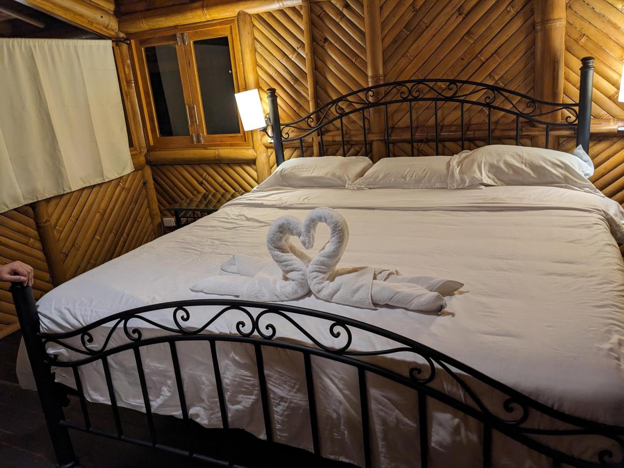 Golden Tree Mindo Eco-Lodge Zewnętrze zdjęcie