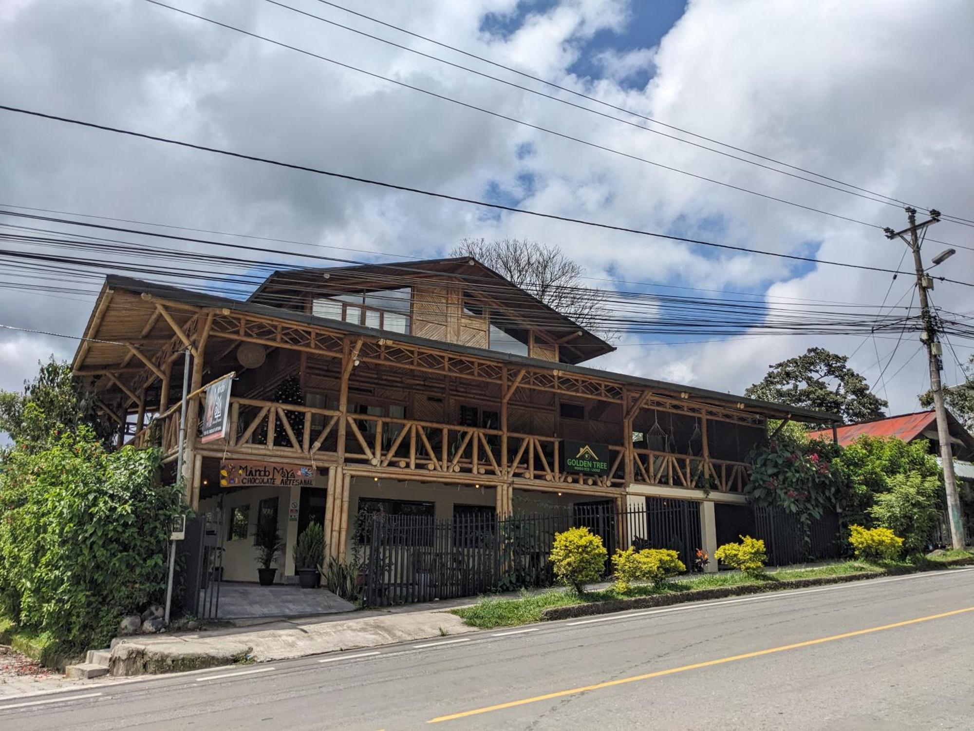 Golden Tree Mindo Eco-Lodge Zewnętrze zdjęcie